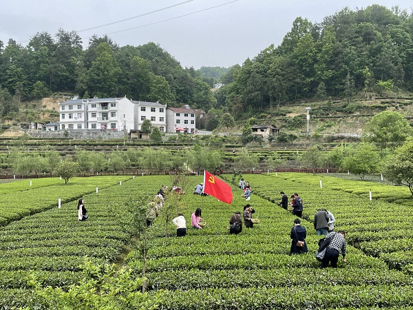 微信图片_20210416162458.jpg